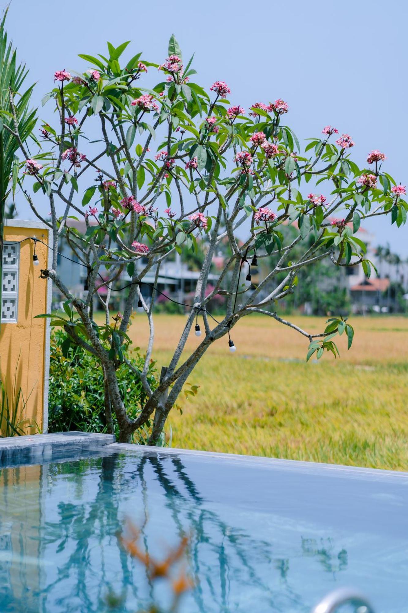 Bs Jade Home Hoi An Eksteriør bilde