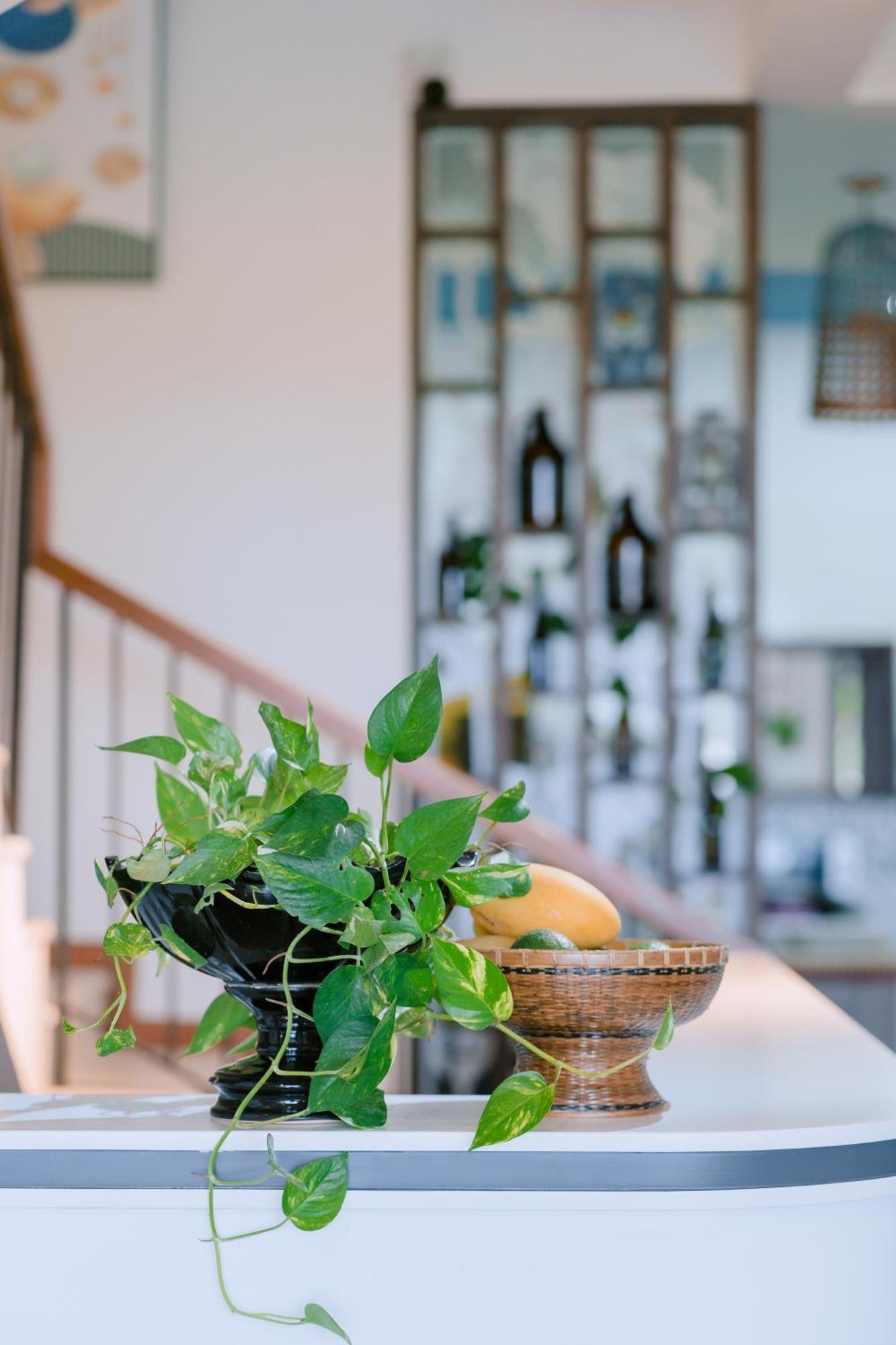 Bs Jade Home Hoi An Eksteriør bilde